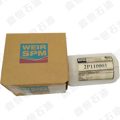 SPMͭ2P110001