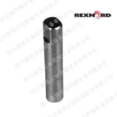 Rexnord10309104