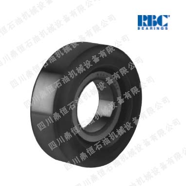 RBC˵74501RR